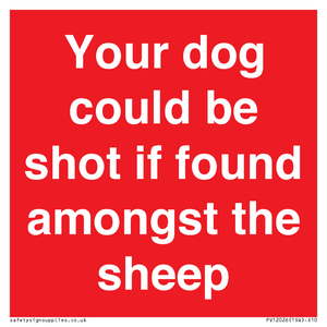 Your dog could be shot if found amongst the sheep
